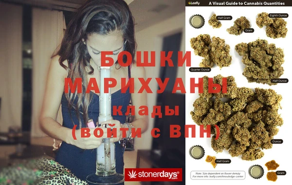 СК Протвино