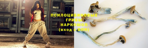 СК Протвино
