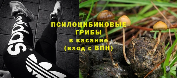 2c-b Пролетарск