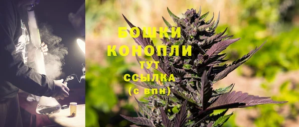 СК Протвино