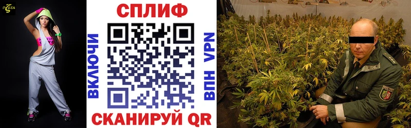 Купить  Сураж  Бошки Шишки конопля 